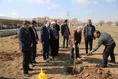 درختکاری در واحد کرمانشاه