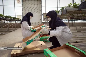 تولید ملی برای آبادانی مناطق محروم