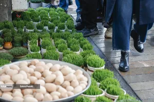 تداوم زندگی در شرایط جنگی