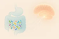 راز هوش انسان در روده‌های او پیدا شد