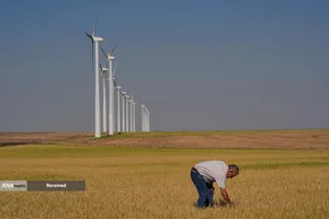 آسیب مزارع گندم آمریکا بدلیل خشکسالی