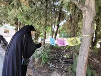 «درختان سخنگو» برای نخستین‌بار در دانشگاه آزاد