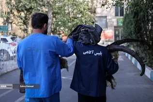 شاکی بی‌خبر از سرقت ۵۰ میلیاردی؛ پلیس آگاهی پیش از شکایت، سارقان را دستگیر کرد