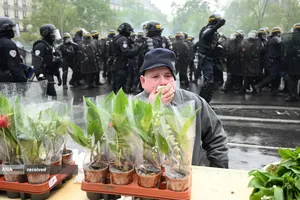 فروشنده شاخه&zwnj;های زنبق، تحت تاثیر پرتاب گاز اشک&zwnj;آور پلیس فرانسه به معترضان.