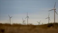 سهم ۰.۳ درصدی باد در سبد برق ایران/ دانشگاه و دانش‌بنیان‌ها بدون صنعت به مقصد نمی‌رسند