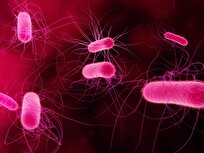 These Bacteria Deploy Tiny Spearguns to Fight Back