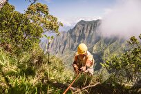 Iranian Scientists Study Cryobanking of Rare, Endangered Plant Species