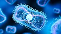 Scientists Discover How Engineered Bacteria Supercharge Immune System to Kill Cancer