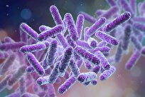Secret ‘Radar’ Bacteria Use to Outsmart Enemies