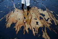 Iranian Knowledge-Based Firm Uses Indigenous Bacterial Strains to Clean Up Oil Pollution