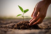 Islamic Azad University Establishes Phytosanitary Quarantine