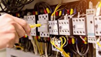 Scientists Discover Organism that Act Like Living Electrical Wires