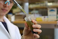 new-catalyst-destroys-‘forever-chemicals’-in-seconds new-catalyst-destroys-‘forever-chemicals’-in-seconds