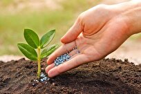 Iranian Firm Produces Effective Plant Growth Supplement